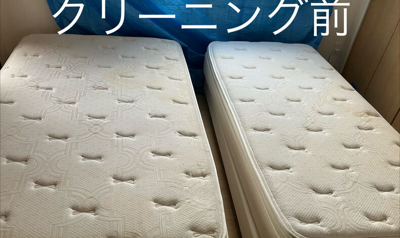 画像1810