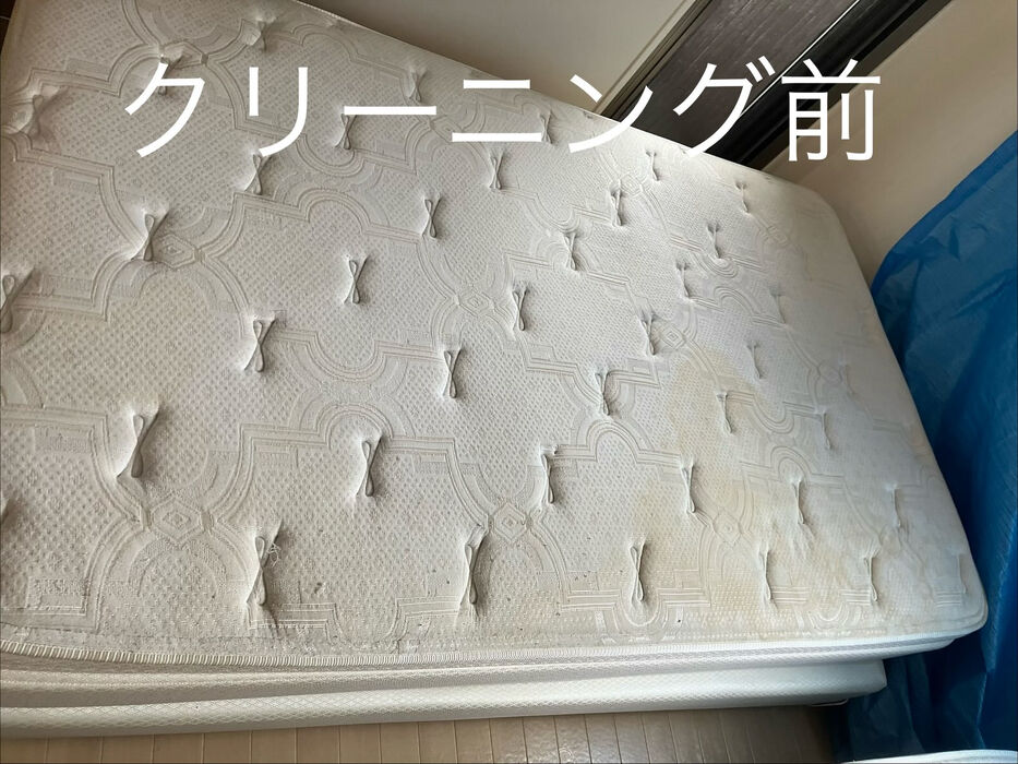 画像1812