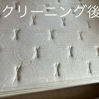 画像1813