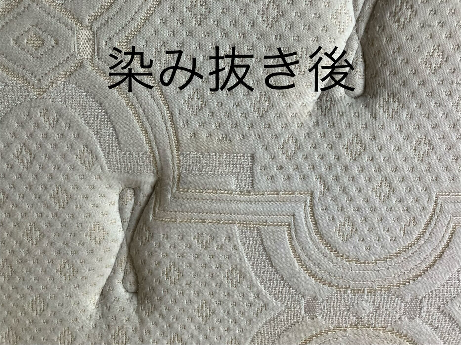 画像1817